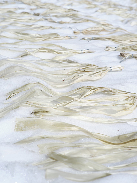 竹尾 撮影 — 写真01 — 浜田啓子