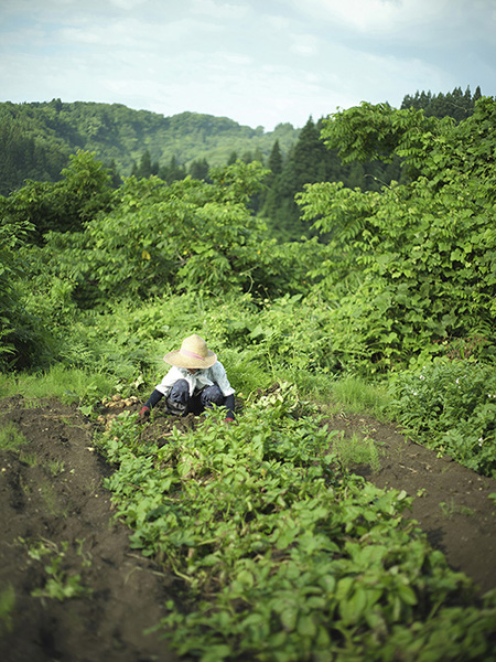 竹尾 撮影 — 写真10 — 浜田啓子