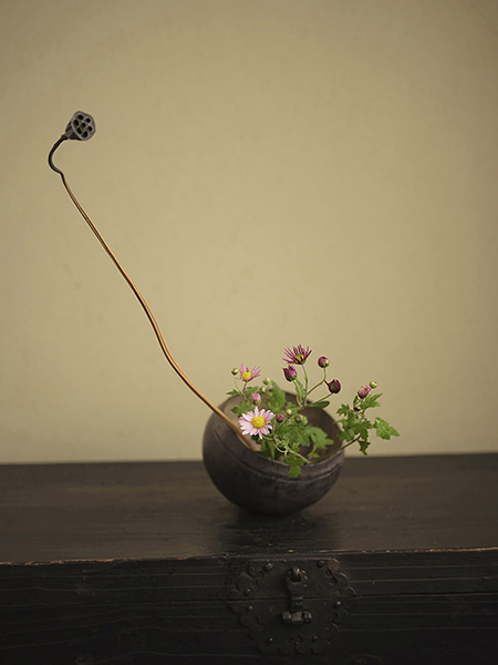 なごみ 野の花司 撮影 — 写真05 — 浜田啓子