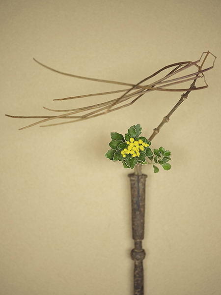 なごみ 野の花司 撮影 — 写真04 — 浜田啓子