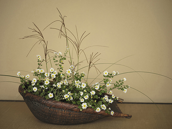 なごみ 野の花司 撮影 — 写真03 — 浜田啓子