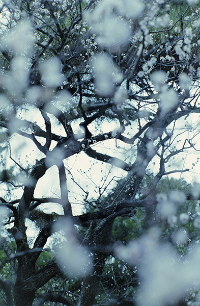 eternally 撮影 — 写真14 — 浜田啓子