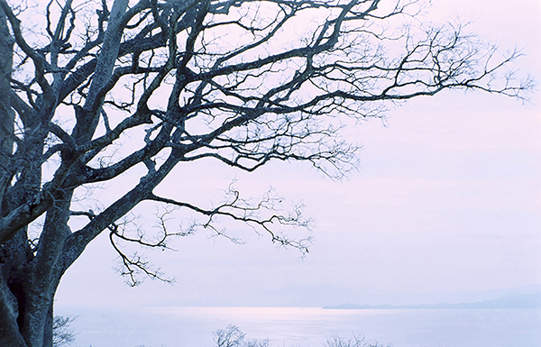 eternally 撮影 — 写真06 — 浜田啓子