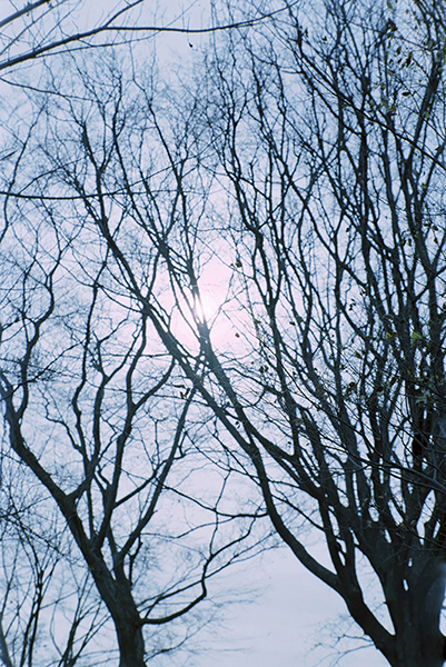 eternally 撮影 — 写真05 — 浜田啓子
