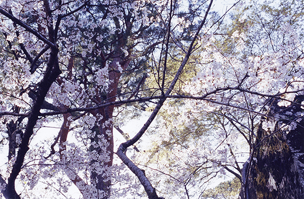 Coincidental Memory 撮影 — 写真52 — 浜田啓子