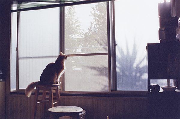 Coincidental Memory 撮影 — 写真46 — 浜田啓子