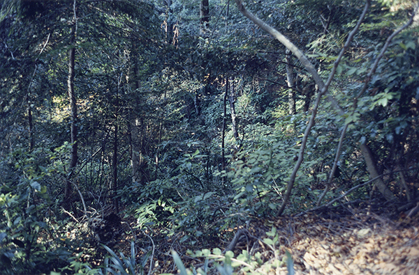 Coincidental Memory 撮影 — 写真44 — 浜田啓子