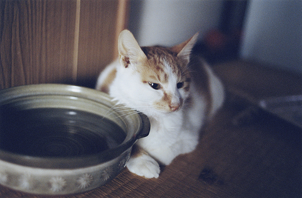 Coincidental Memory 撮影 — 写真40 — 浜田啓子