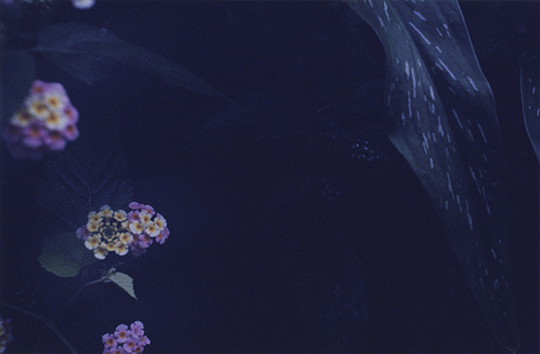 Coincidental Memory 撮影 — 写真39 — 浜田啓子