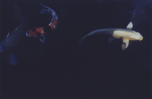 Coincidental Memory 撮影 — 写真38 — 浜田啓子