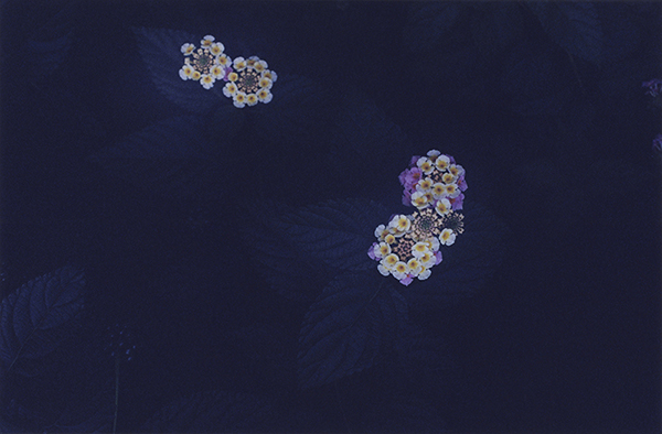 Coincidental Memory 撮影 — 写真37 — 浜田啓子