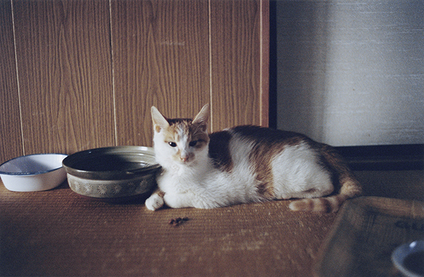 Coincidental Memory 撮影 — 写真35 — 浜田啓子