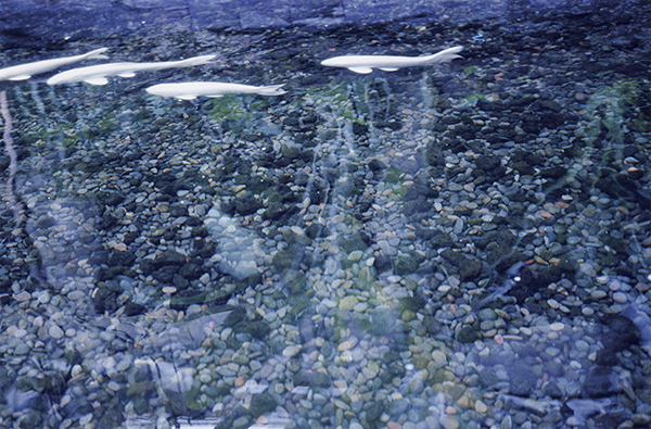 Coincidental Memory 撮影 — 写真30 — 浜田啓子