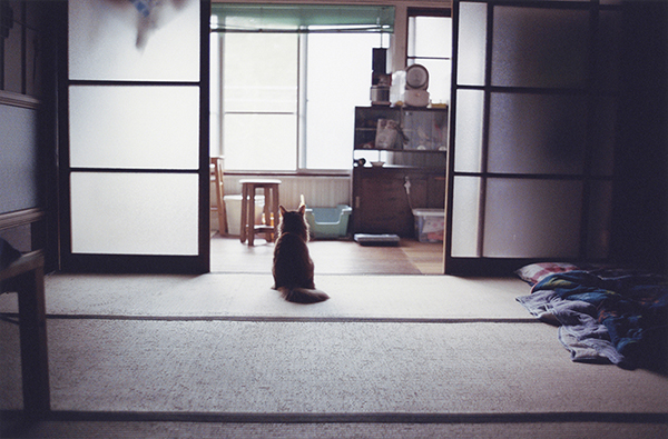Coincidental Memory 撮影 — 写真27 — 浜田啓子