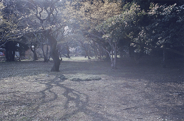 Coincidental Memory 撮影 — 写真15 — 浜田啓子