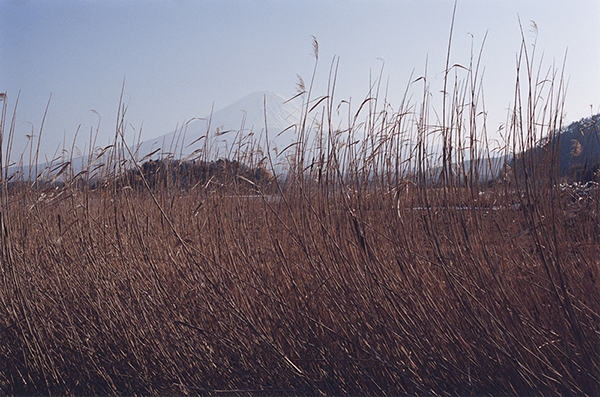 Coincidental Memory 撮影 — 写真14 — 浜田啓子