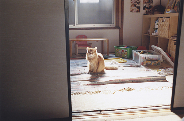 Coincidental Memory 撮影 — 写真05 — 浜田啓子