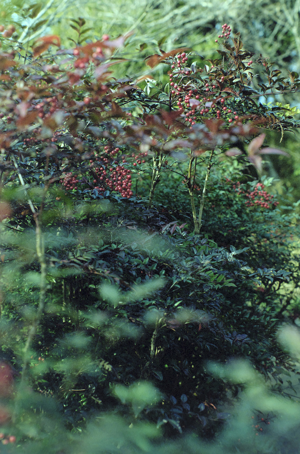 &Premium — &PHOTO — 浜田啓子