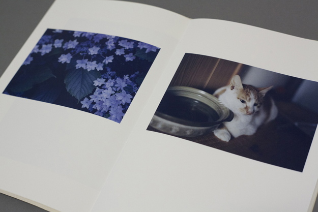 MdN PHOTOGRAPHER RETOUCHER FILE 2017 /エムディーエヌ フォトグラファー レッタッチャー ファイル 2017